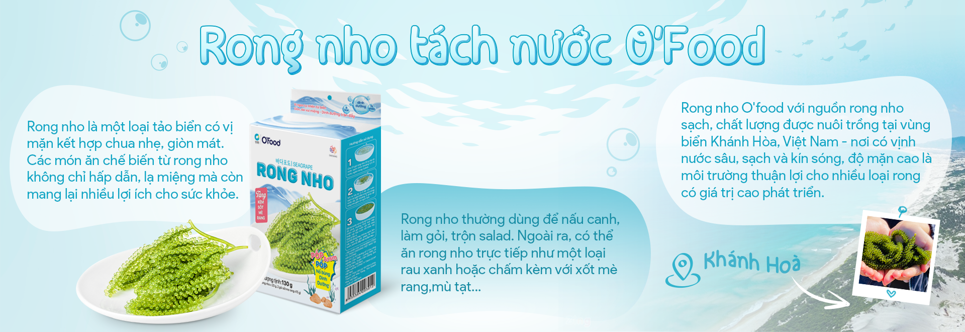 Câu Hỏi Thường Gặp về Canh Rong Nho