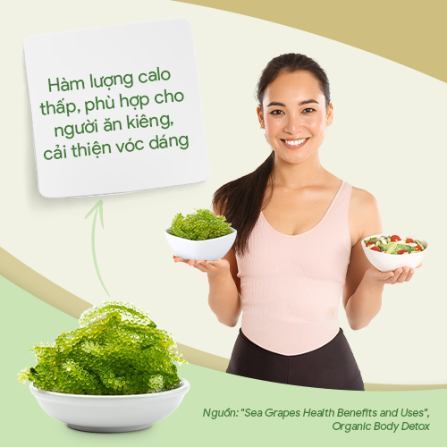 THÍCH HỢP CHO NGƯỜI ĂN KIÊNG THÍCH HỢP CHO NGƯỜI ĂN KIÊNG