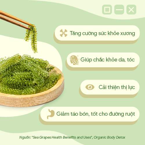 TỐT CHO ĐƯỜNG RUỘT TỐT CHO ĐƯỜNG RUỘT