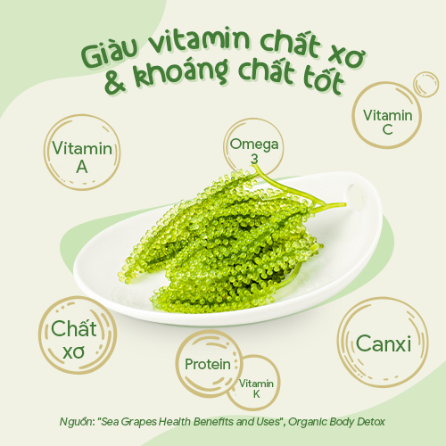 GIÀU VITAMIN, KHOÁNG CHẤT TỐT GIÀU VITAMIN, KHOÁNG CHẤT TỐT