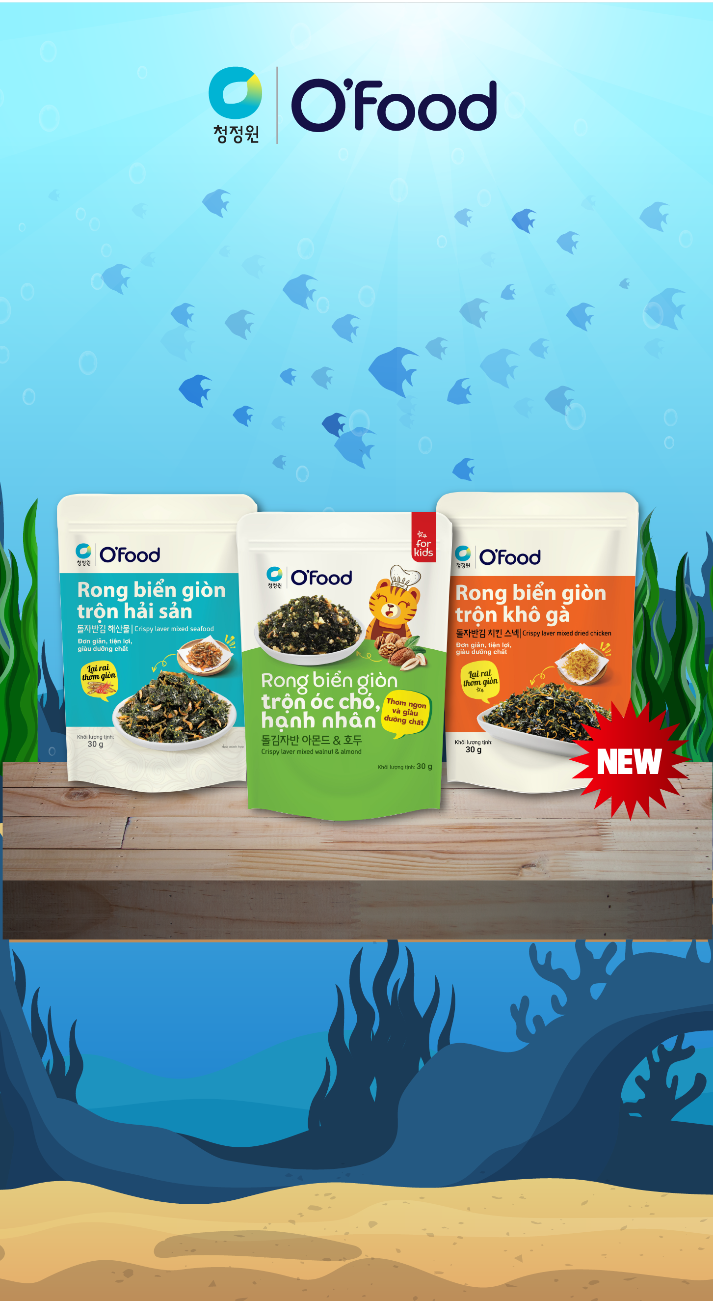 Rong biển giòn mới