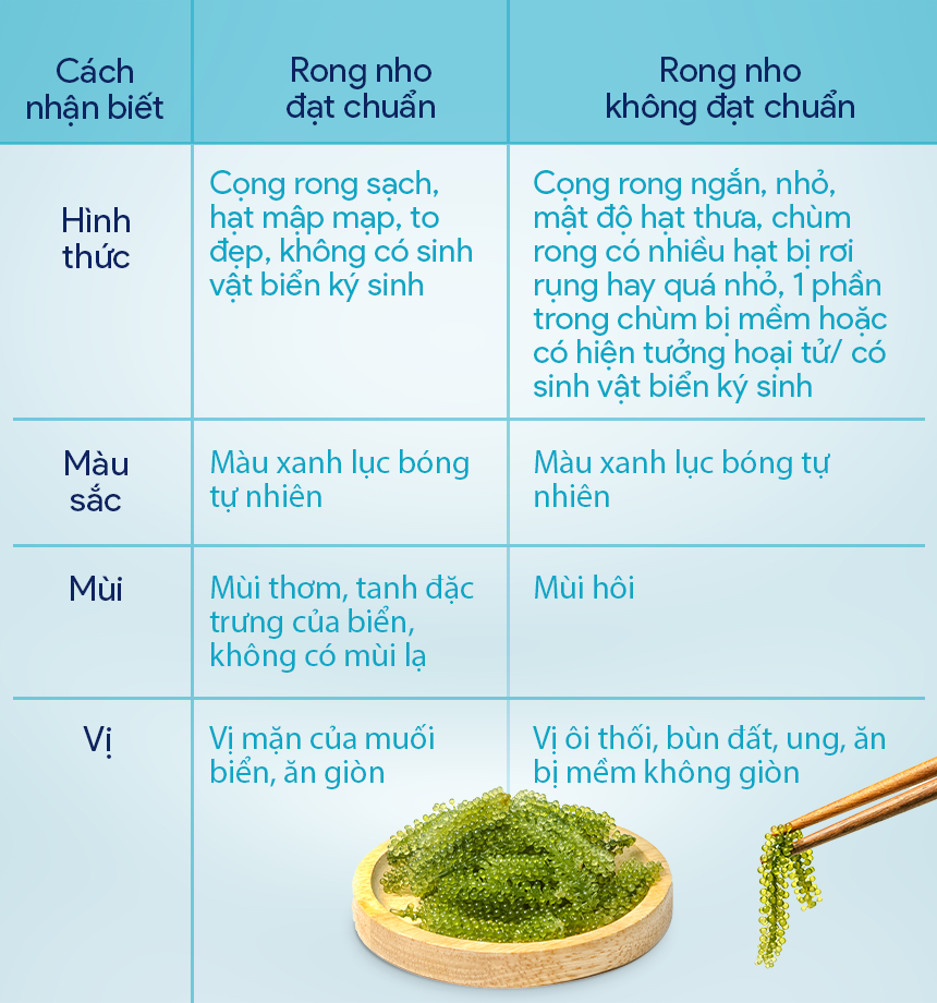 CÁCH PHÂN BIỆT RONG NHO CHẤT LƯỢNG CÁCH PHÂN BIỆT RONG NHO CHẤT LƯỢNG